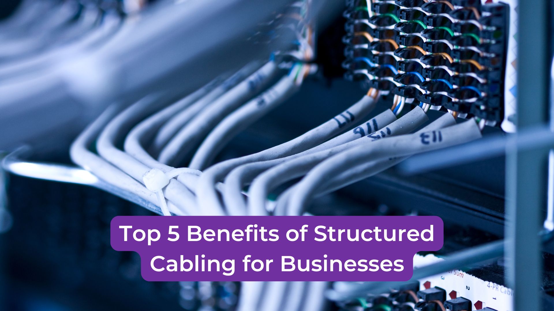 You are currently viewing Top 5 Benefits of Structured Cabling for Businesses