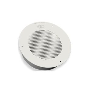 CD-011120 Auxiliary Speaker, Analog – Gray White