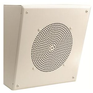 BG-AMBSL1 Angled Front Amplified Metal Box Speaker
