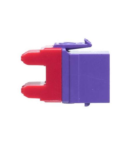 ICC-IC1078F6PR MODULE, CAT 6, HD, PURPLE - Image 2